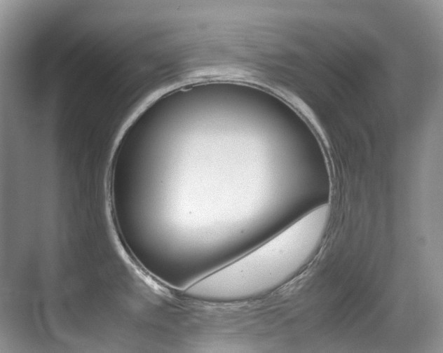 X0000070371389200606090814