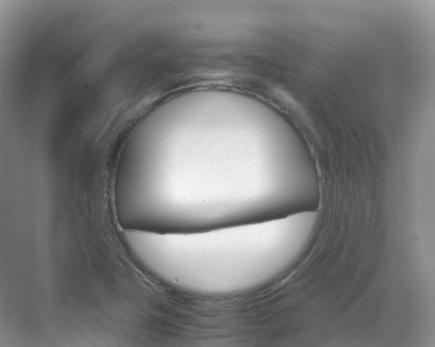 X0000070371411200606090814