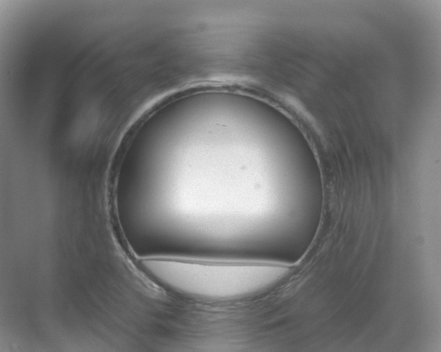 X0000070371412200606090814