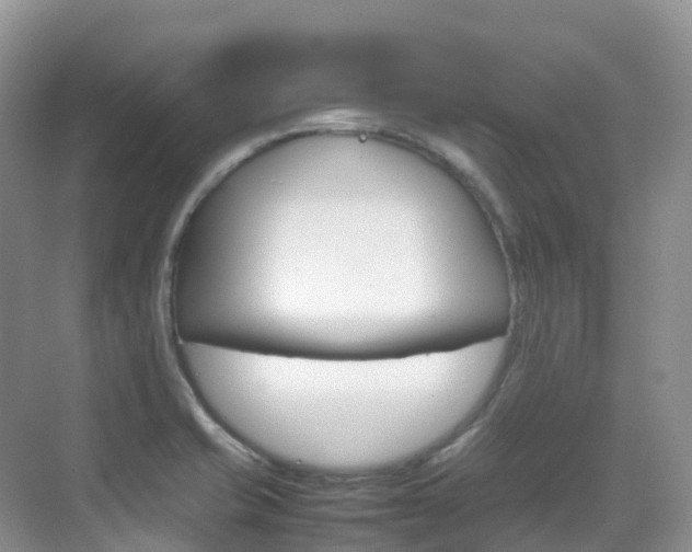 X0000070371421200606090814