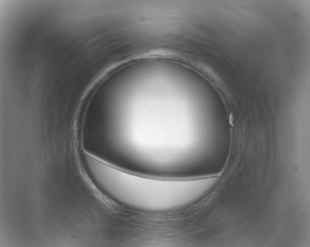 X0000070371422200606090814