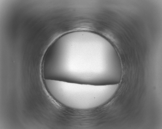 X0000070371423200606090814