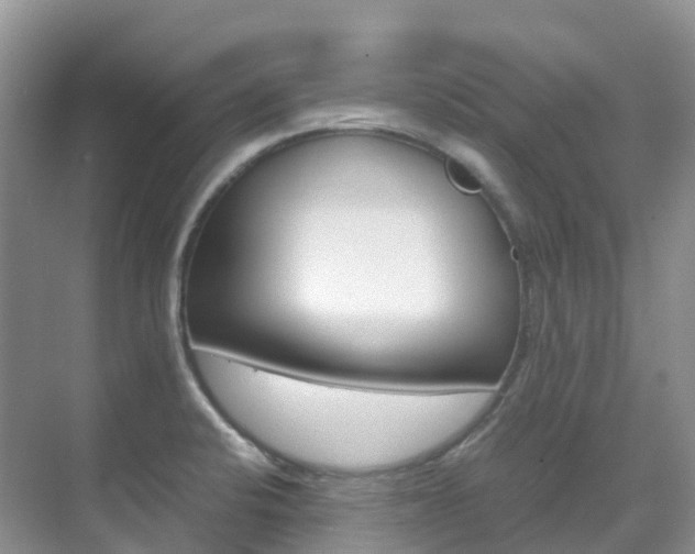 X0000070371424200606090814