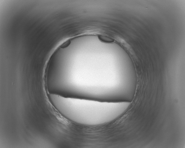 X0000070371427200606090814