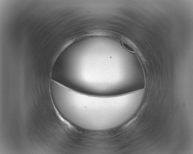 X0000070371433200606090814