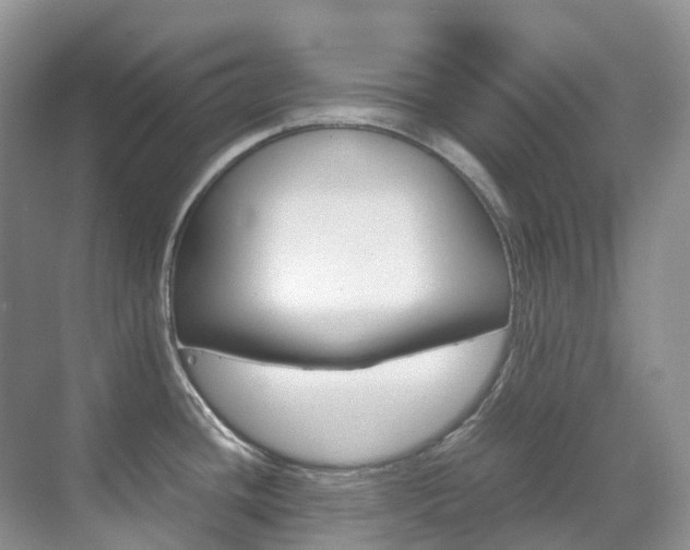 X0000070371436200606090814