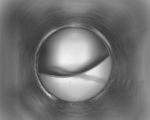 X0000070371437200606090814