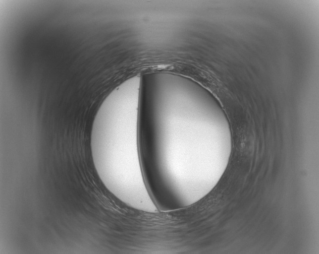 X0000070371442200606090813