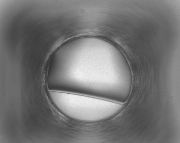 X0000070371459200606090813
