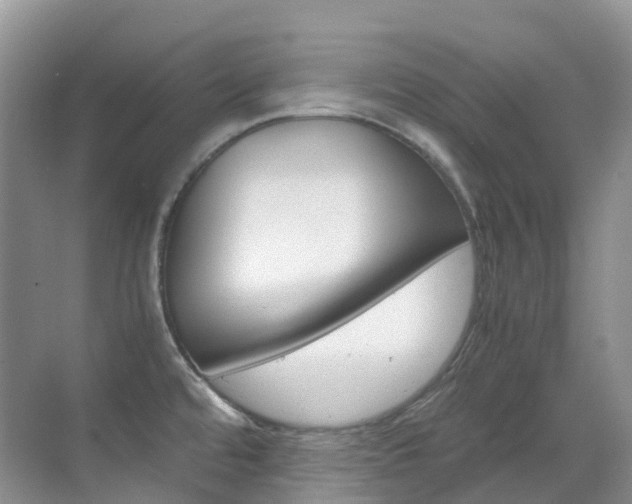 X0000070371480200606090813