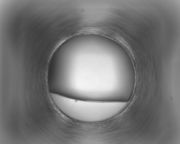 X0000070371481200606090813