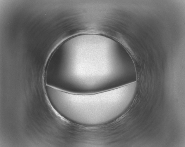 X0000070371484200606090813