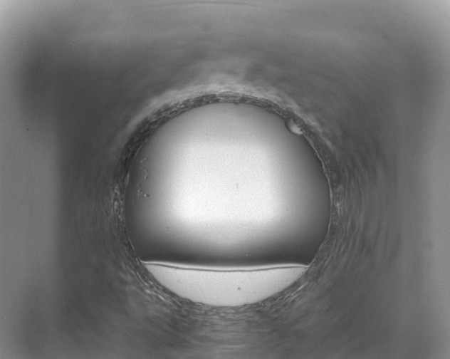X0000070371495200606090812