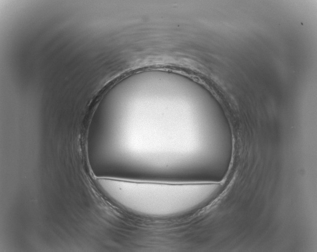 X0000070371497200606090812