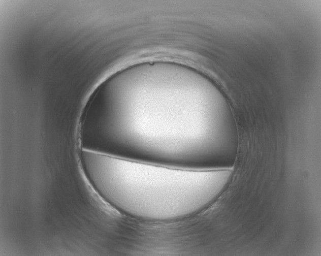 X0000070371522200606090812
