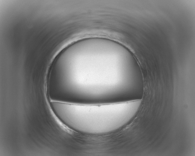 X0000070371523200606090812