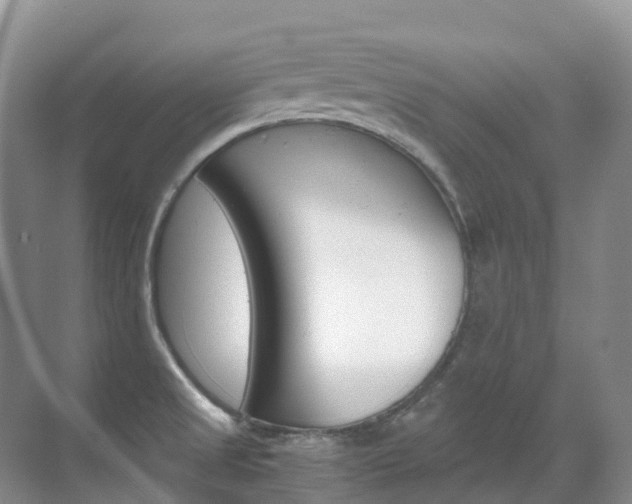 X0000070371525200606090812