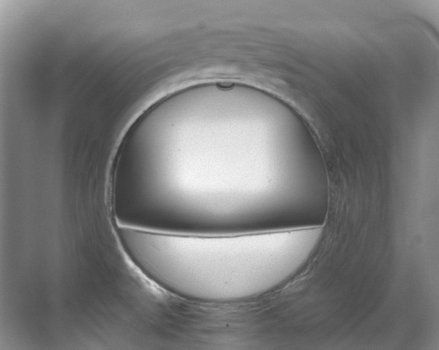 X0000070371527200606090812
