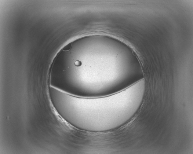 X0000070371534200606090813