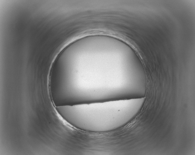 X0000070371535200606090813