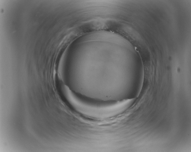 X0000070370035200606091108