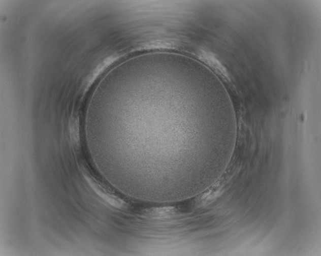 X0000070370108200606091107