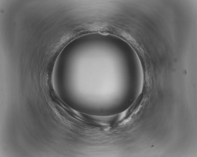 X0000070370201200606091105