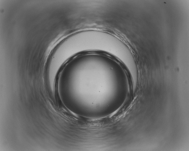 X0000070370344200606091102
