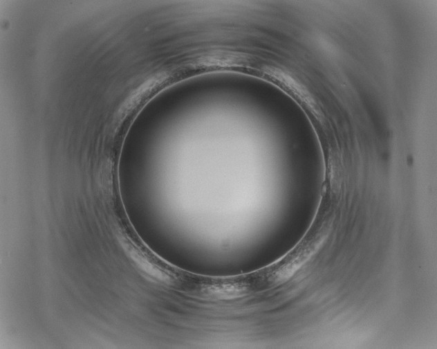 X0000070370445200606091101