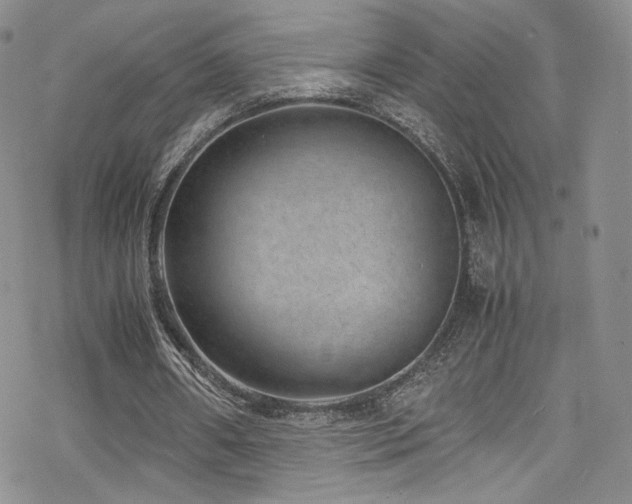 X0000070370482200606091100