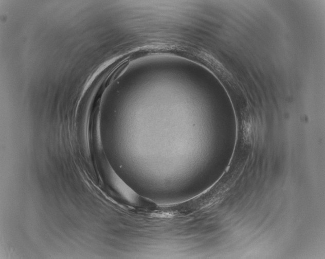 X0000070370484200606091100