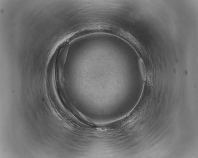 X0000070370724200606091056