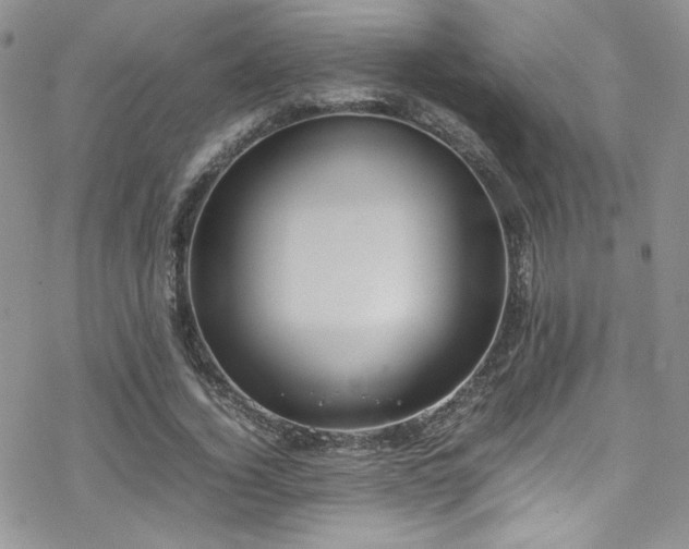 X0000070370732200606091056