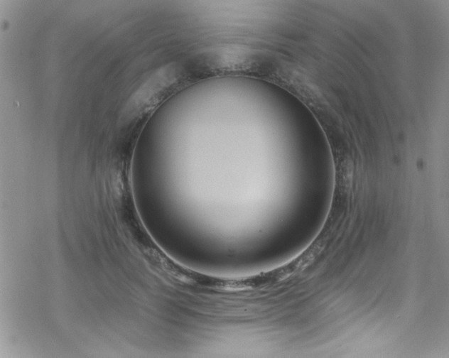 X0000070370746200606091056