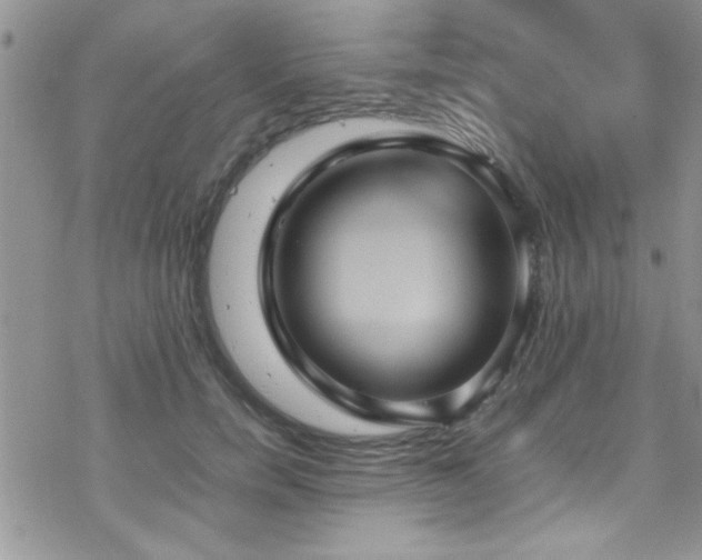 X0000070370750200606091056