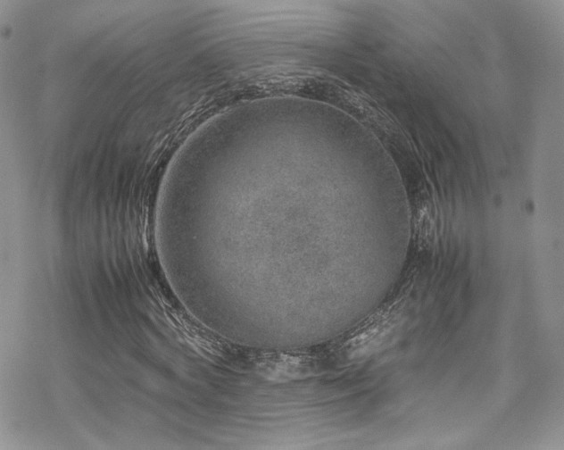 X0000070370772200606091056