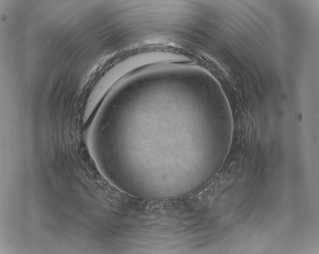X0000070370776200606091056