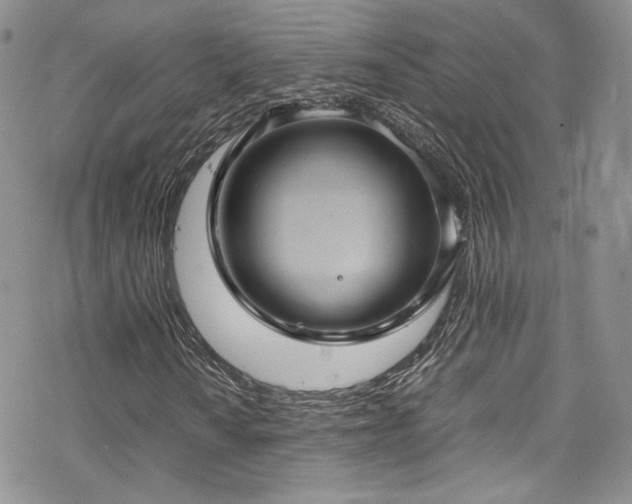 X0000070371010200606091051