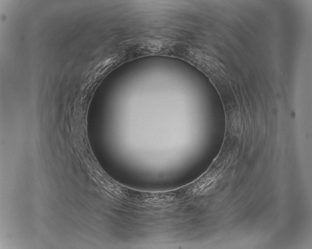 X0000070371105200606091049