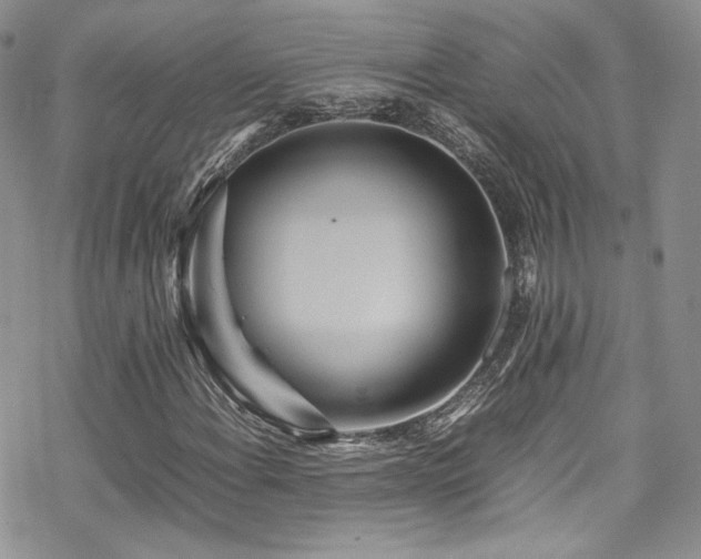 X0000070371108200606091049