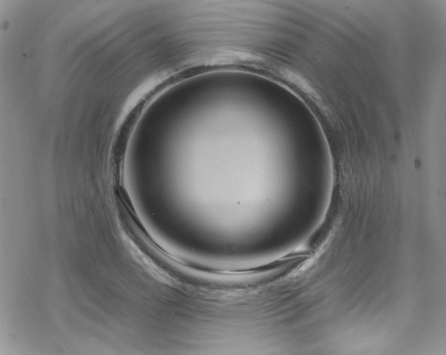 X0000070371122200606091050