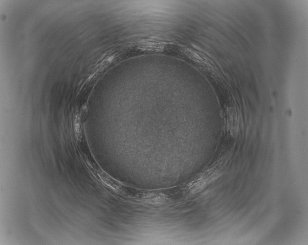 X0000070371154200606091049