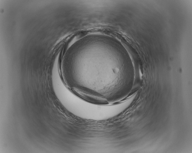 X0000070371206200606091048
