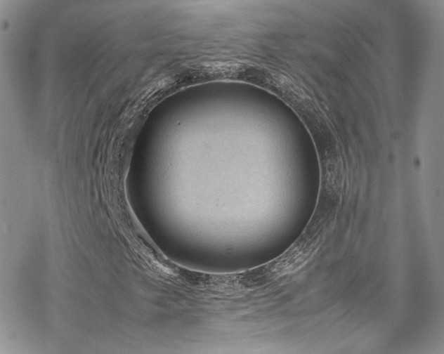 X0000070371249200606091048