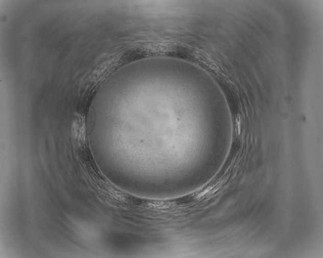 X0000070371251200606091048