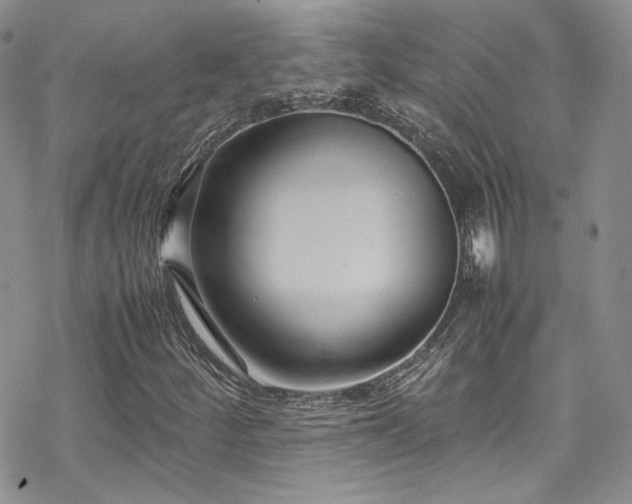 X0000070371252200606091048