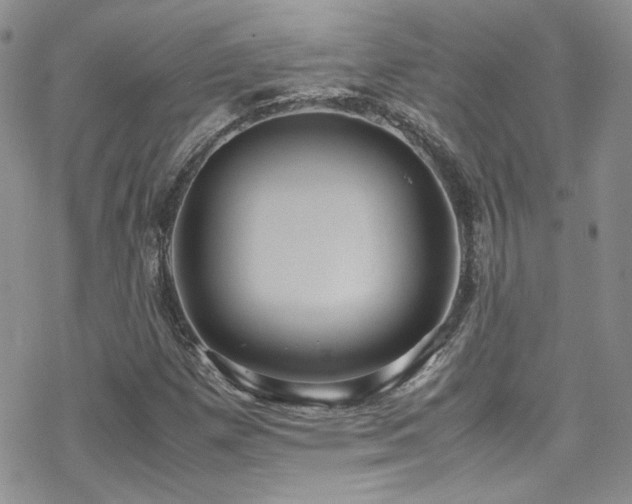 X0000070371257200606091048