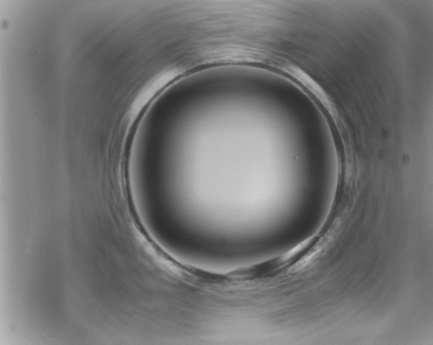 X0000070371293200606091047