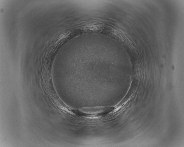 X0000070371297200606091046