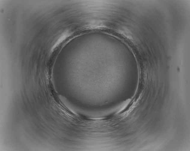X0000070371306200606091046